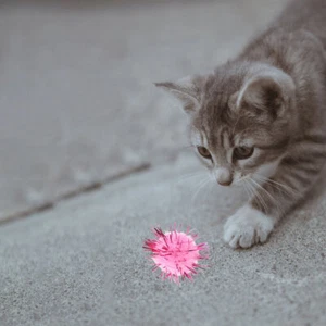 100 Piezas Suministros Artesanales Juguete de Pelota de Peluche para Gatos Juguetes de Enriquecimiento Interior Difuso - Imagen 1 de 11