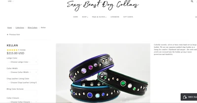 Collar de perro de cuero con joyas artesanal artesanal de bestia sexy de alta moda único en su clase Foto 1 de 4