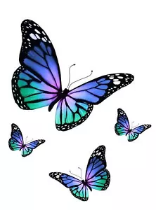 Set 4x aufkleber sticker auto motorrad schmetterling blau - Bild 1 von 1