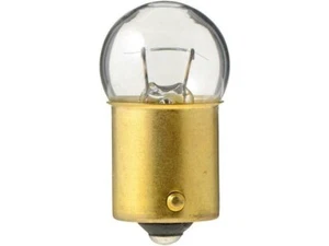 For 1979-1986 GMC C2500 Suburban License Light Bulb Philips 51432PGRX 1980 1981 - Picture 1 of 2