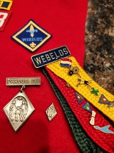 Boy Scouts Webelos Colors Pin Ribbons Activity Badge BSA with Pins Vintage - Picture 1 of 13