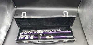 Purple Flute With Original Case - Picture 1 of 19