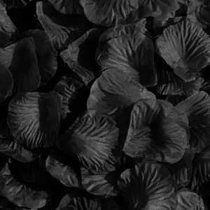 SITUMEIZI 3000PCS Black Rose Petals for Romantic Night Her 3000, - Picture 1 of 6