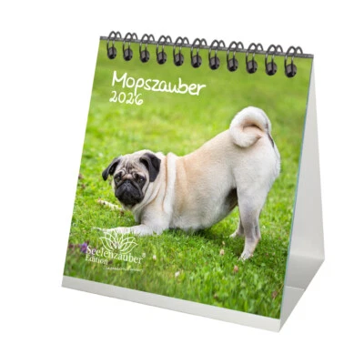 SEELENZAUBER GMBH Mopszauber Tischkalender 10cm x 10cm für 2026 Mops Hunde und Welpen - Seelenzaub