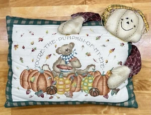 Cuscino vintage margherita regno raccolta lancio autunno autunno zucche spaventapasseri fatto a mano - Foto 1 di 11