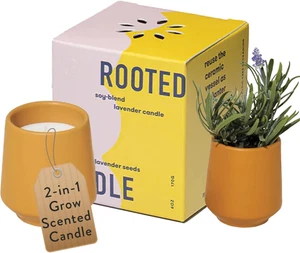 Plantador de velas de lavanda y madera de cedro | Vela de soja 2 en 1 + semillas | Brote moderno - Imagen 1 de 8