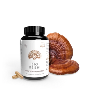 Pilze Wohlrab | Reishi Pilz Pulverkapseln BIO | 100 Stück | Ling Zhi Vitalpilze - Bild 1 von 8
