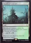 Woodland Cemetery - 316 Foil MTG Fallout
