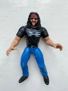 WWF WWE DX X-PAC JAKKS WRESTLING ACTION FIGURE BCA KING OF THE RING SERIES - Picture 1 of 3