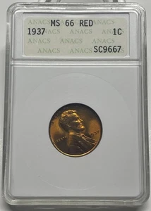 1937 Lincoln Wheat Cent / Penny 1c MS66 RED ANACS Early Small Holder - Picture 1 of 5