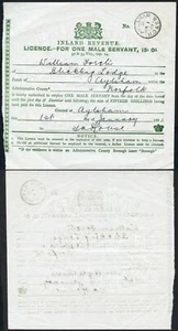 GB 1 JAN 1901 I.R MALE SERVANT LICENCE AYLSHAM M.O + S.B PMK W.FORSTER BLICKLING - Picture 1 of 1