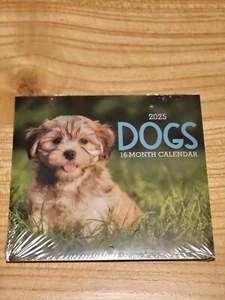 ONE - MINI WALL Monthly 2025 Calendar - DOGs - many Breeds - Picture 1 of 5