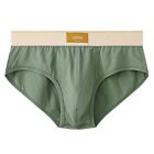 Daily Men's Brief Underwear Casual Male Regular Breathable Colorblock