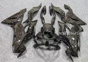 Forged Carbon Fiber Fairing Kit for Kawasaki 2000-2023 ZX636 Ninja ZX6R Bodywork - Picture 1 of 7