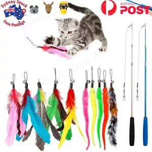 12PCS Kitten Cat Feather Toy Bell Wand Teaser Rod Interactive Play Pet Toys Gift - Picture 1 of 4