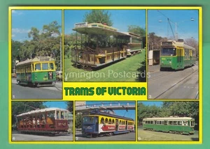 🌞VICTORIA STRAMS, AUSTRALIEN😊BUY 2 GET 1 FREE - Bild 1 von 2