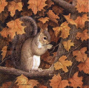 4 lose Motivservietten Servietten Napkins Tovaglioli 33x33cm Eichhörnchen (813) - Picture 1 of 1
