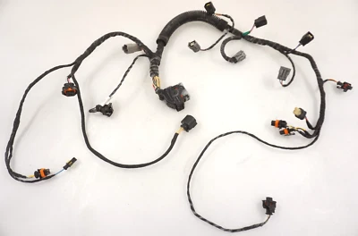 Arnés de cableado del motor Sea-Doo GTI LTD 155 2009-2017 OEM 420665206 42086420 Foto 1 de 4