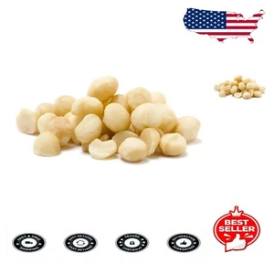 Nutrient-Packed 5lb Raw Macadamia Nuts - Unsalted and Full of Healthy Goodness - Picture 1 of 3