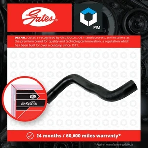 Radiator Hose fits RENAULT MEGANE Mk2 1.4 Upper 03 to 08 K4J732 Coolant Gates - Picture 1 of 2