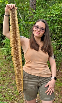 Rattlesnake skin hide pelt Leather Hide Eastern Diamond Back Costume Crafts - Image 1 of 4