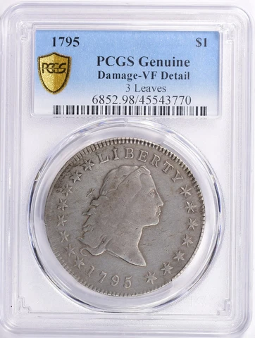 1795 Flowing Hair Silver Dollar $1 3 Leaves PCGS VF Details Cover