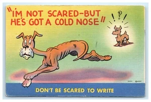POSTKARTE Ich habe keine Angst, aber er hat eine kalte Nase Keine Angst, Hunde zu schreiben - Bild 1 von 2