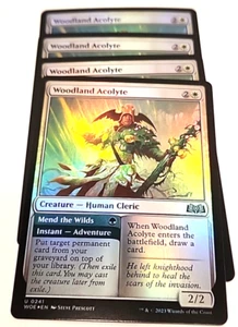 Woodland Acolyte // Mend the Wilds Foil (241) Wilds of Eldraine x4 4x WOE MTG - Picture 1 of 1