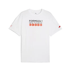 2025 Formula 1 Men's DTS Relaxed T-shirt (XXL) - Picture 1 of 5