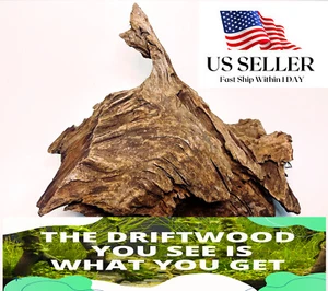 NATURAL MANGROVE DRIFTWOOD #317 WYSIWYG - AQUASCAPING, SUPER PRICE!! DECORATION - Picture 1 of 9