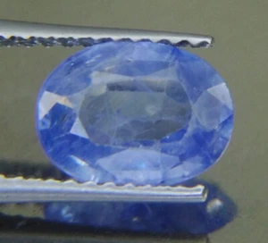 1.635Cts Ceylon Natural BLUE SAPPHIRE oval shape Precious Gemstone - Picture 1 of 2