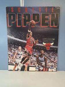 Vtg Scottie Pippen Cardboard Poster 20x16 Starline Chicago Bulls - Picture 1 of 8