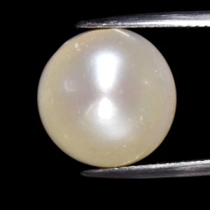 💎 12,52ct 13,5mm Runde Cabochon Gebohrt Natürliche Weiße Perle - Thailand Edelstein - Bild 1 von 4