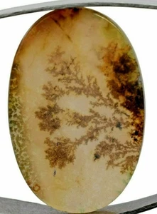 25,30*16,60 mm Natürlicher Dendrit Achat Einzelstück Zertifiziert Edelstein - Bild 1 von 4