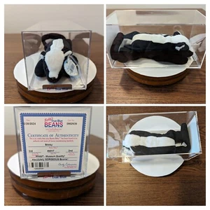 Gorro Stinky Authenticated Baby 3ª 2ª Generación - MWMT MQ - Imagen 1 de 5