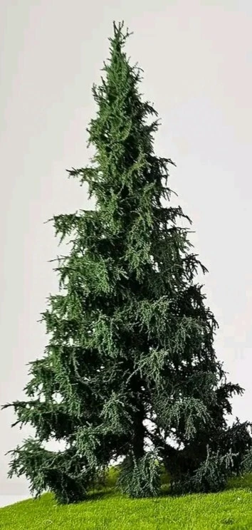 🍀🍀🍀 Modellbaum H0 Freon-Fichte  18-20 cm Höhe.Handarbeit.🍀 - Bild 1 von 1