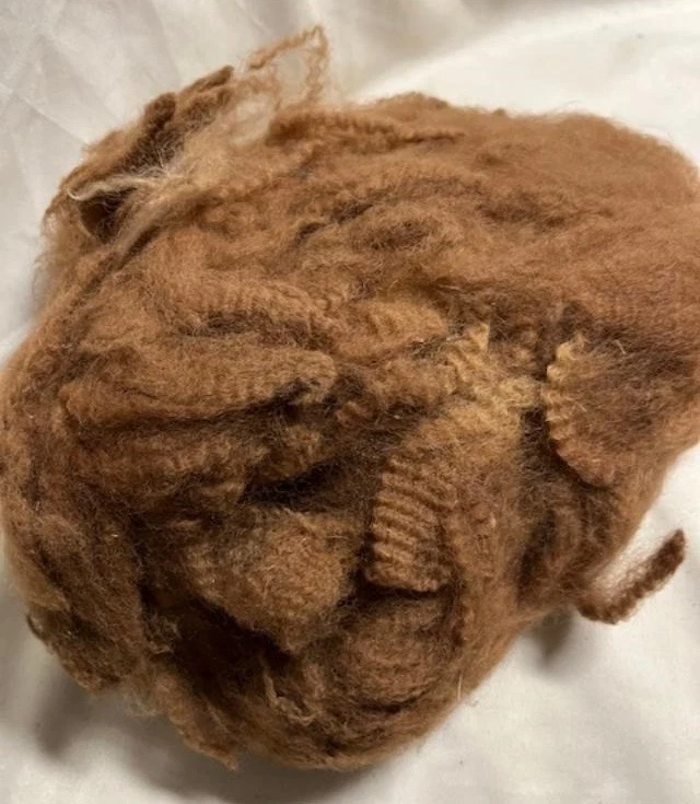 RAW 100% suave fibra de alpaca rizada para bebé, cervatillo oscuro natural 2 oz algunos vegetales Foto 1 de 1