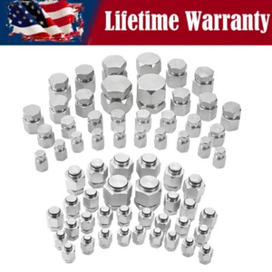 144 PC JIC &ORFS Master Industrial Hydraulic Cap Plug Hose Tube and Pipe Fitting - Picture 1 of 10