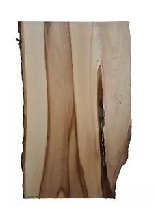 1x Ulme Rüster Bohle Brett Holz Baumkante Riss epoxid DIY Waschtischplatte - Bild 1 von 10