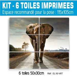 115x105cm - Kit 6 Dipinti Stampato-Tabella Decorazione da Muro - Elefant - - Foto 1 di 18