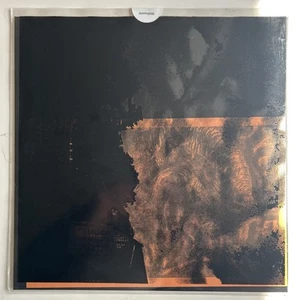 JASON WILLIAMSON / ALAN MOORE - In The Drownings - NEW LIMITED LP Sleaford Mods - Picture 1 of 5