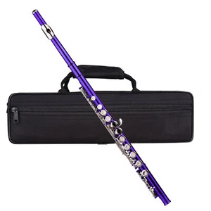 Closed Hole C Flute Musical Instrument Set 16 Keys Flute for Beginner N4G4 - Picture 1 of 10