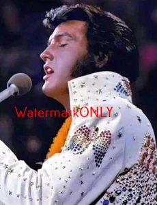 "Elvis Presley" "King of Rock & Roll" schönes "Pin Up" FOTO! #(216) - Bild 1 von 2