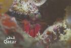 Meeresorganismen Bild Postkarte KATAR, Meereslebewesen Meerestiere Wassertiere