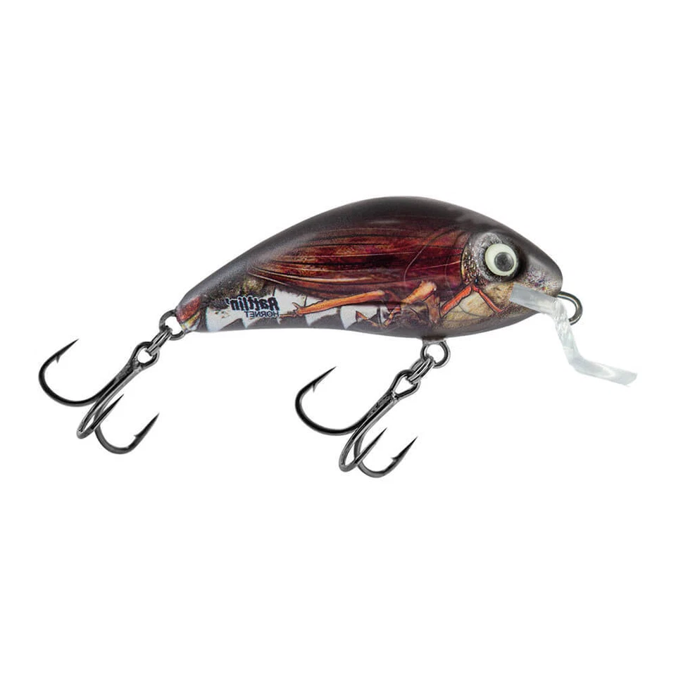 Salmo Wobbler Rattlin Hornet Shallow Real Cockchafer Kunstköder Crankbait Barsch - Bild 1 von 1