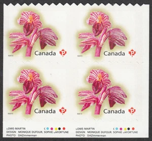 VERTICALMENTE SIN CORTAR = BLOQUE DE INSCRIPCIÓN LR de 4 = Orquídea Canadá 2010 #2357v MNH - Imagen 1 de 4