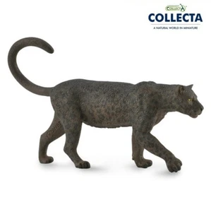 CollectA Schwarzer Leopard Wildtier Figur Spielzeug Modell 88890 - Realistische Raubkatze - Bild 1 von 2