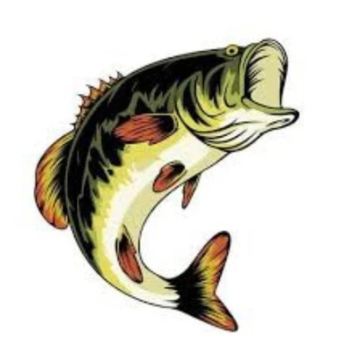 Bass Fishing Mystery Box Worms, Cranks, Frogs, Ploppers, Spinners Etc BRAND NEW - Image 1 of 3