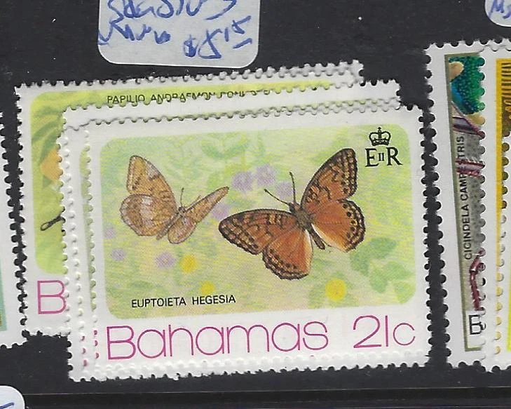 巴哈马蝴蝶 SC 370-3 全新无标签 (1gvc) — 第 1/1 张图片