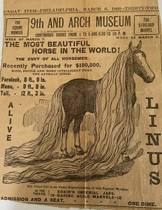 RARE ORIGINAL 1882 Newspaper PRINTED AD " THE MOST BEAUTIFUL HORSE IN THE WORLD - Picture 1 of 4